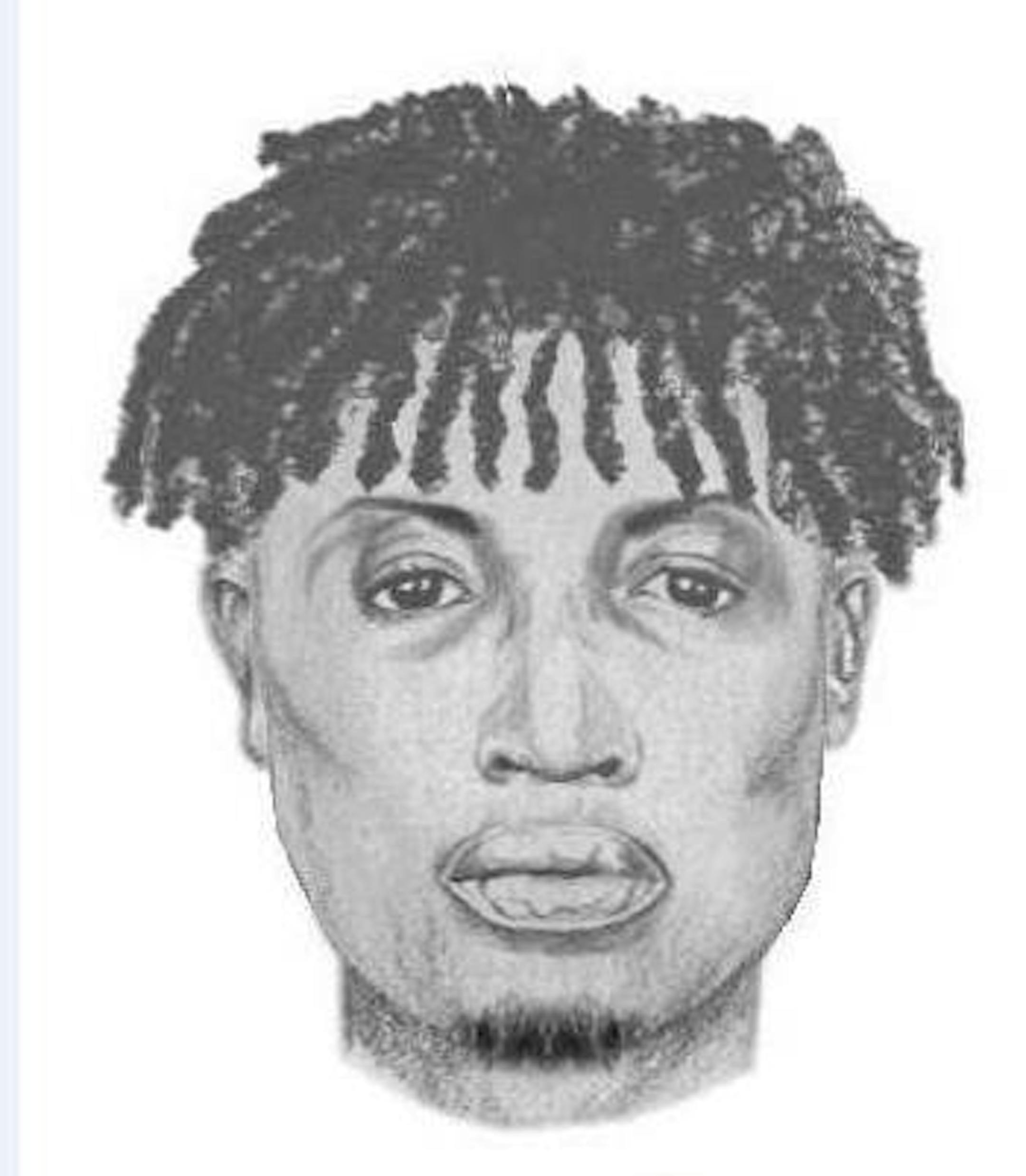 Rice County authorities have released a sketch of a suspect in a shooting at a house party near Northfield.