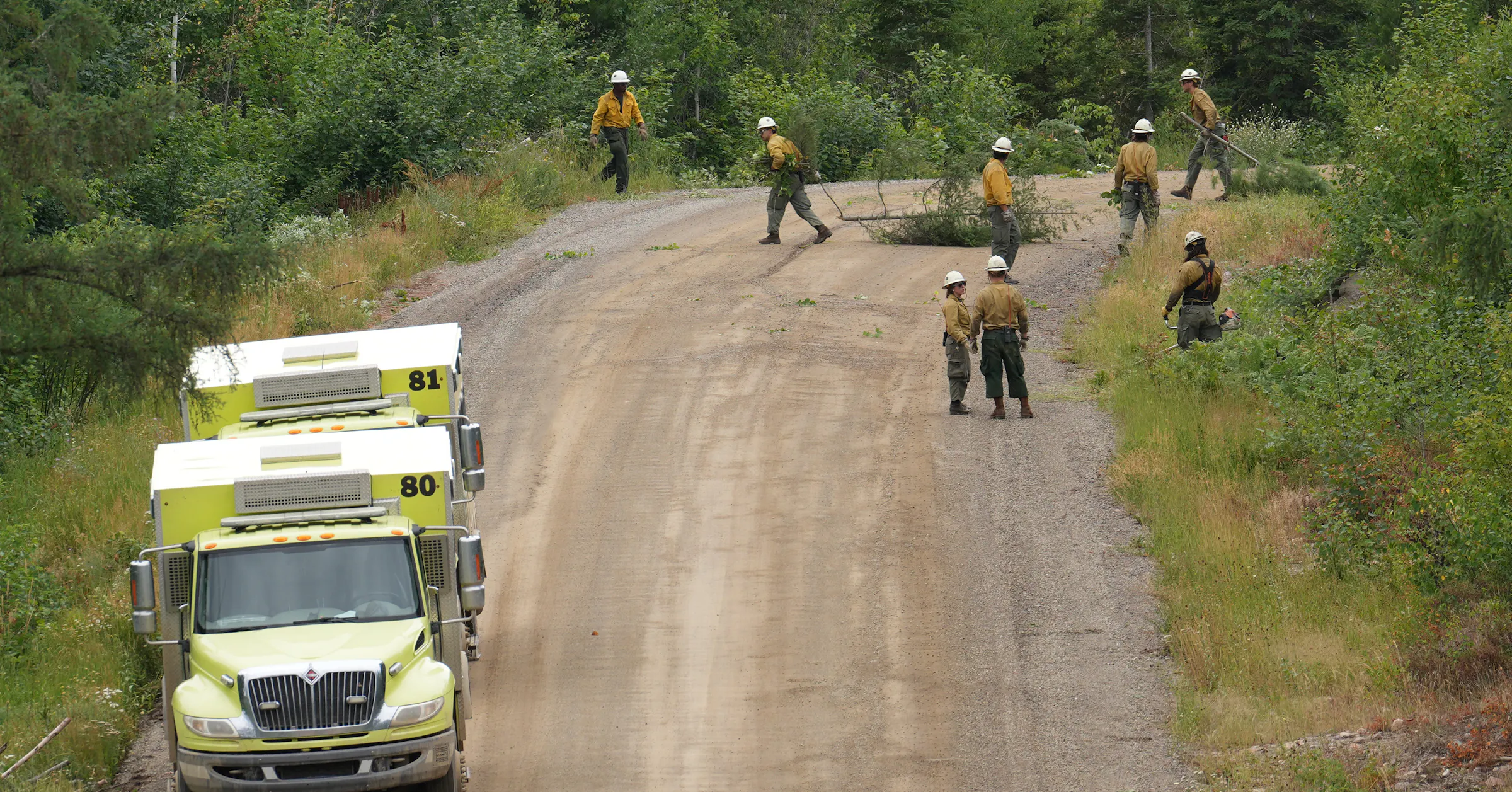 Report: DOGE delayed fire-prevention plan for Echo Trail near Ely