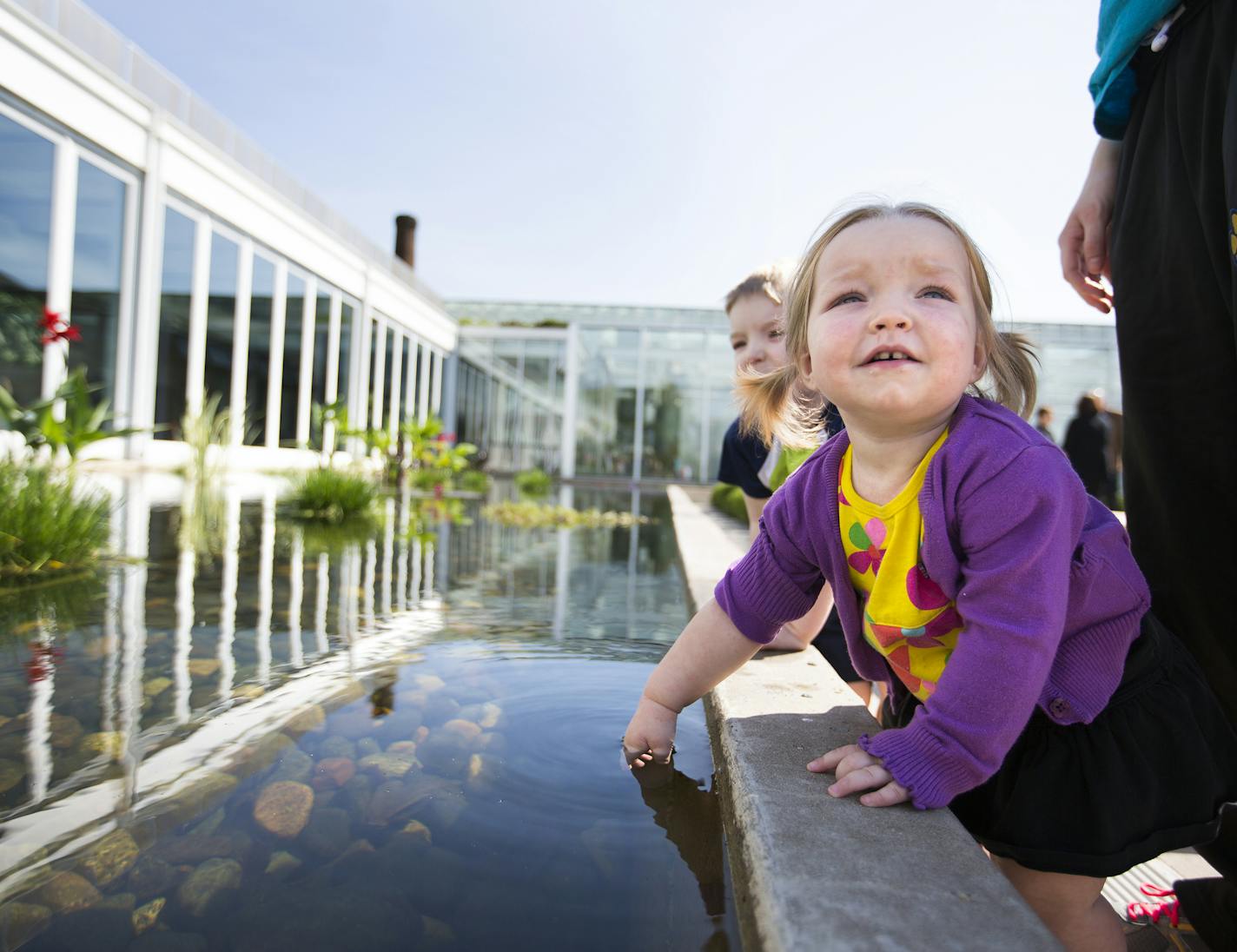 Cailin Anderson, 2, of St. Paul plays in the Centennial Garden at Como Park's Marjorie McNeely Conservatory in St. Paul on Friday, June 19, 2015. ] LEILA NAVIDI leila.navidi@startribune.com / BACKGROUND INFORMATION: The Marjorie McNeely Conservatory, which is on the National Register of Historic Places, is celebrating its 100 year anniversary this year.