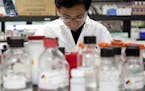 FILE -- A research associate in a lab at Cubist Pharmaceuticals, which makes drugs to treat dangerous superbugs and bacteria, in Lexington, Mass., Oct