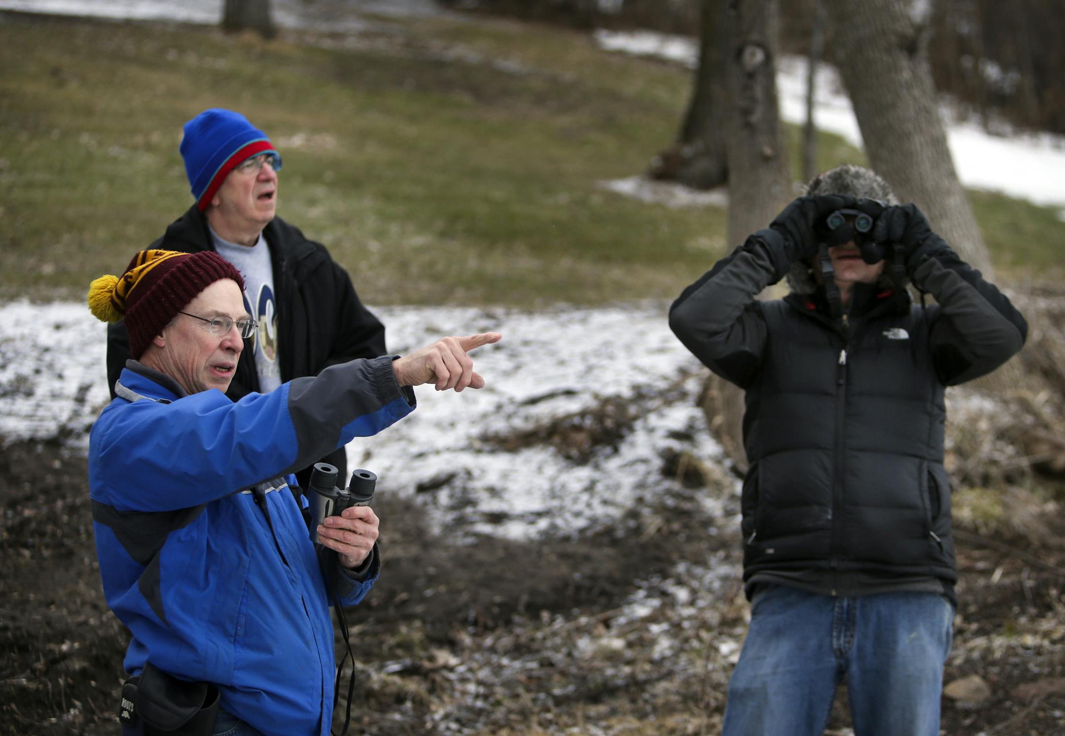 Marty Asleson, right, scanned a great blue heron rookery on Thursday at Lake Peltier as Wayne LeBlanc, front left, and George Bor look on.
