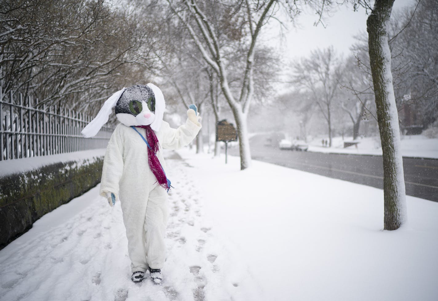 Amy Padden, who lives just a hop, skip, and a jump from the Cathedral of St. Paul, thought it would be a great day to spread some cheer. So she went out in the falling snow wearing a cat costume she hacked into a bunny costume by pinning some hand towels on for floppy ears. ] JEFF WHEELER &#x2022; Jeff.Wheeler@startribune.com Amy Padden thought it would be a great day to spread some cheer, so she walked around Cathedral Hill in the falling snow Sunday afternoon, April 12, 2020 in St. Paul wearin