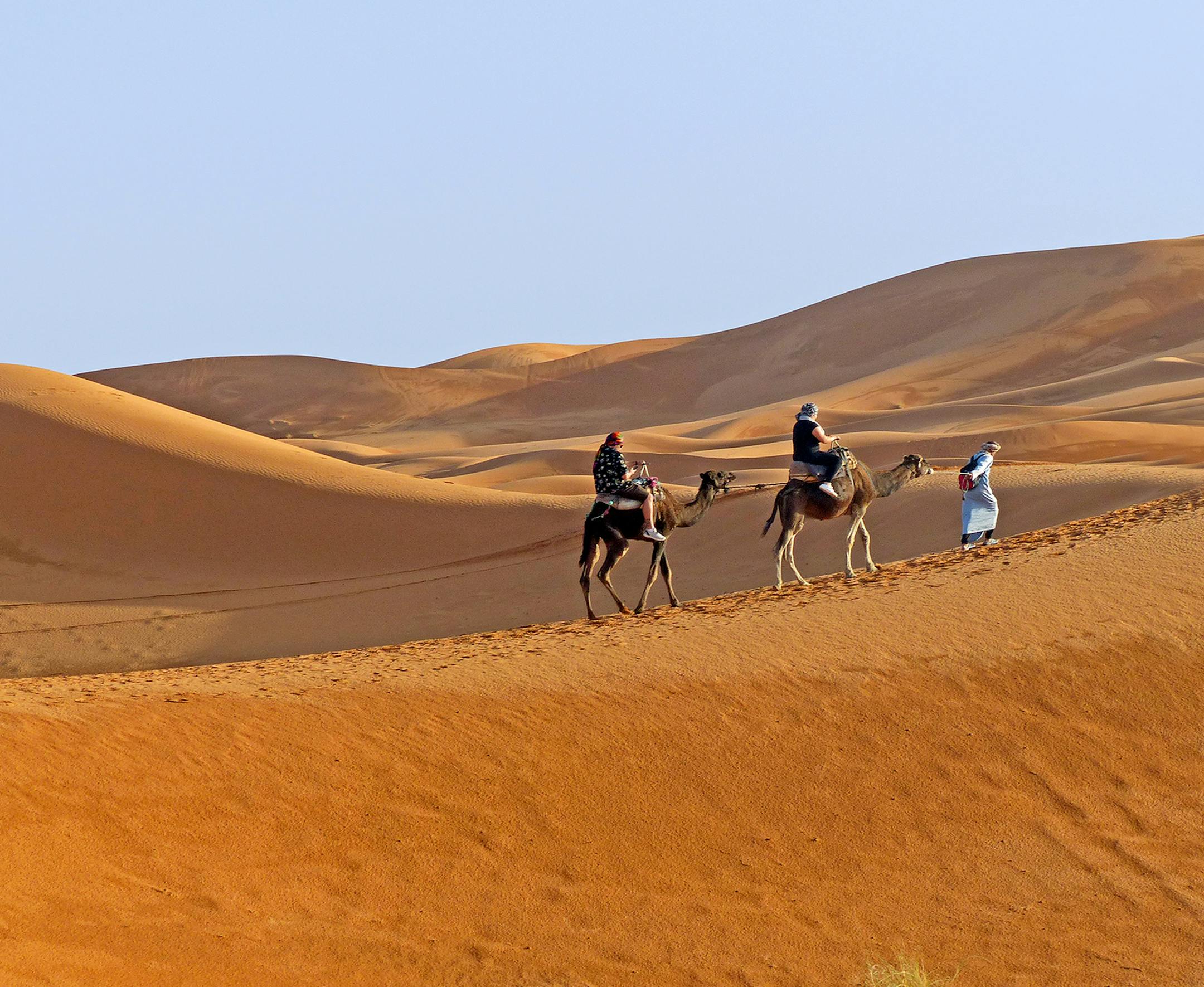 Please find attached a photo taken on my recent trip to Morocco. Information follows. Traveler: Maxine Saul of Lakeville, MN Scene: Sunset highlights the camel caravan in the dunes of the Sahara Trip: Life's truly picture perfect moments come few and far between. The Sahara is the most enigmatic and awe-inspiring natural wonder that I experienced in Morocco. The sea of sand dunes shimmering gray, yellow, orange and red was a sight to behold. How I got the shot: I was riding a camel to the top of