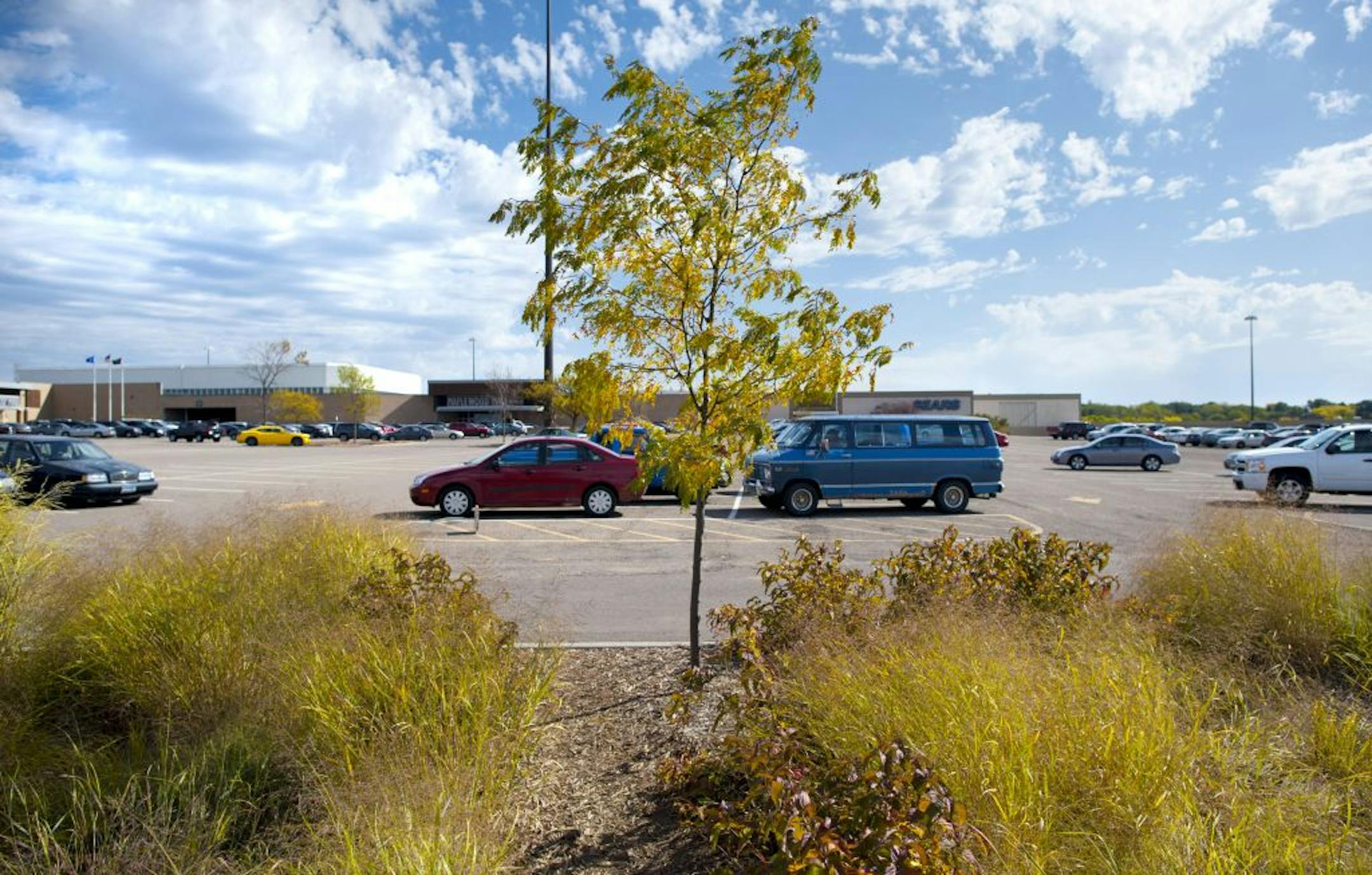 The idea behind the system is that it will catch phosphorous in runoff water that will be channeled to trees that can make use of it before the water drains away.