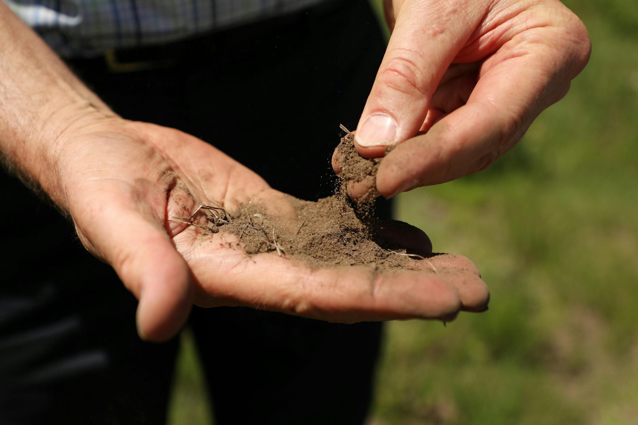 Researcher Dave Tilman talked about the soil makeup Wednesday at the University of Minnesota's Cedar Creek Ecosystem Science Reserve in East Bethel.