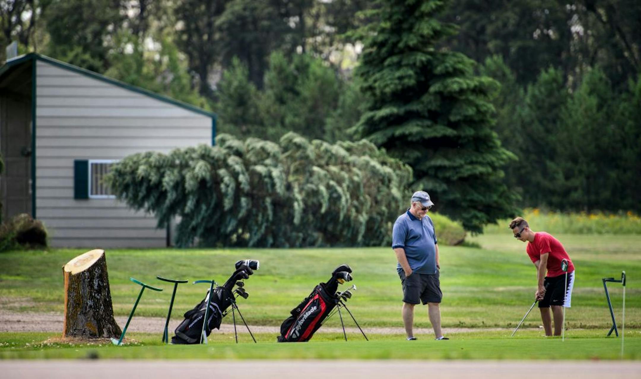 Charles Erickson told his grandsons Drew and Alec, both 14, when they were younger, he remembered watching them play golf from the shade of this now gone ash tree at Madden's resort in Nisswa, Minn. on Friday, July 17, 2015. (Glen Stubbe/Star Tribune via AP) ST. PAUL PIONEER PRESS OUT; MAGS OUT; TWIN CITIES LOCAL TELEVISION OUT; MANDATORY CREDIT