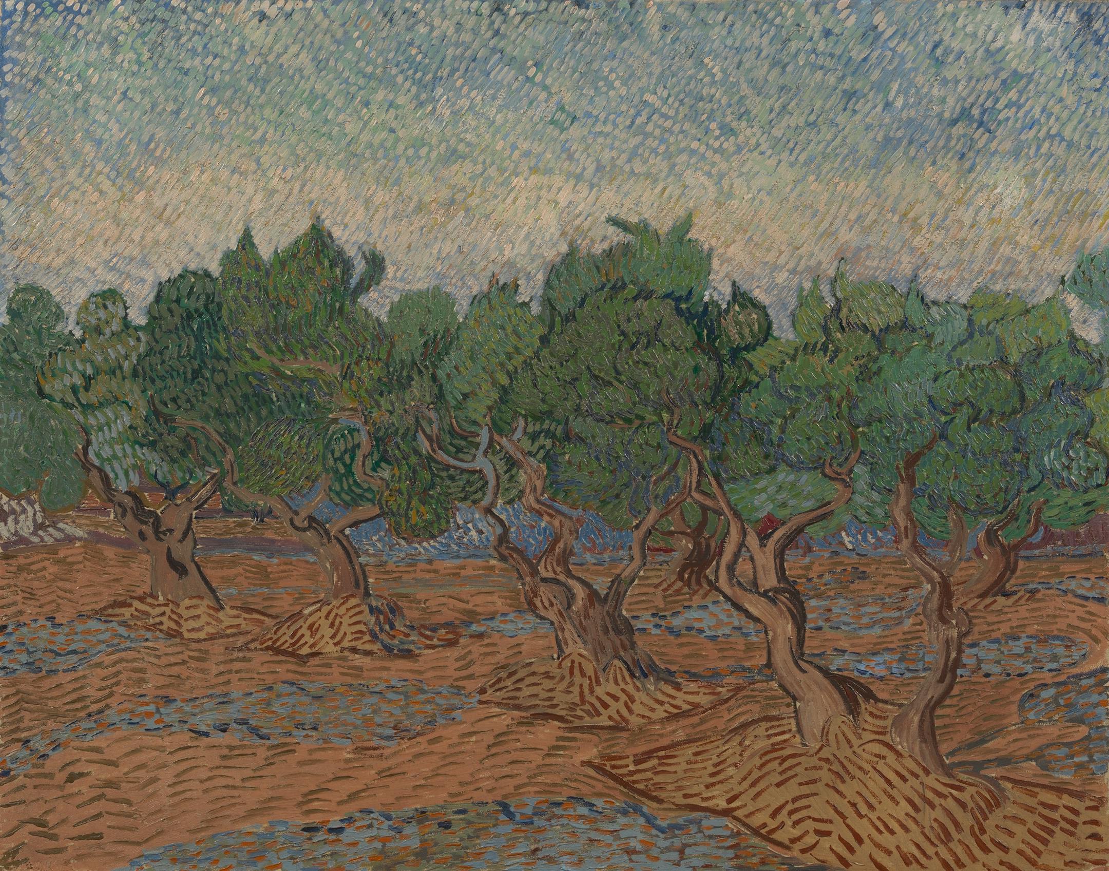 Vincent van Gogh. Olive Grove, November - December 1889. Oil on canvas. 73 cm x 92 cm. Van Gogh Museum, Amsterdam (Vincent van Gogh Stichting). s0045V1962.