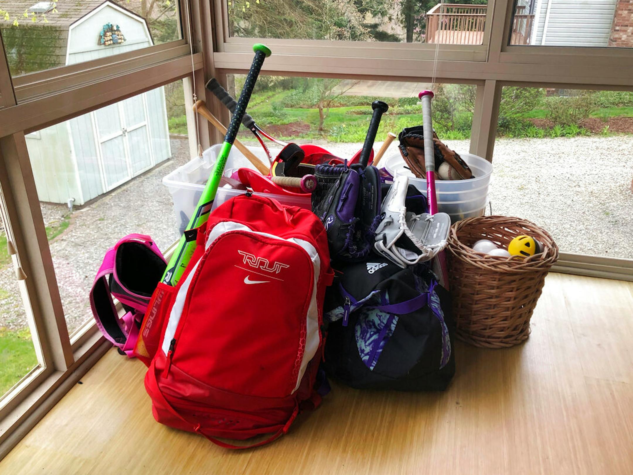 The theft came amid cancelation of most of the softball group's 2020 season and fundraising events.