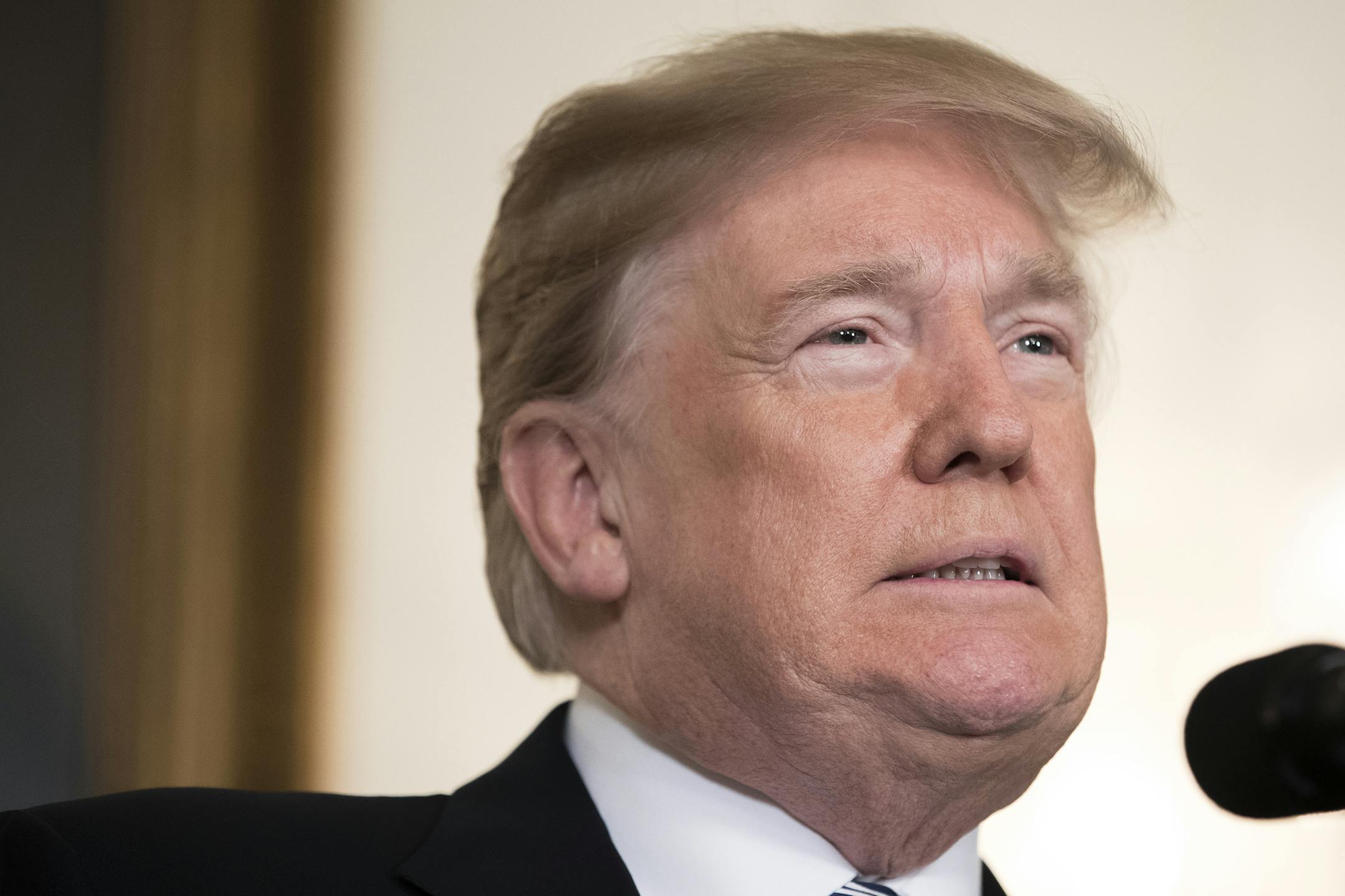 President Donald Trump