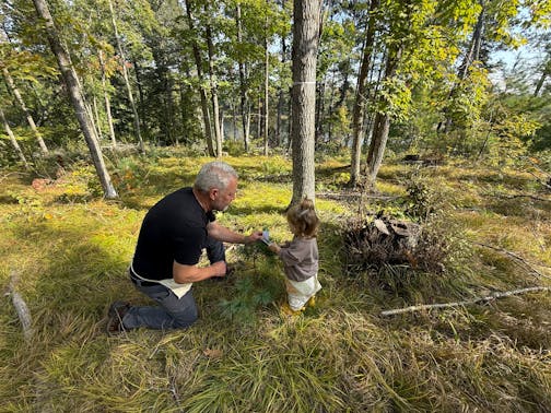 John Rajala and granddaughter Hallie, 2, bud-cap a white pine seedling in October.