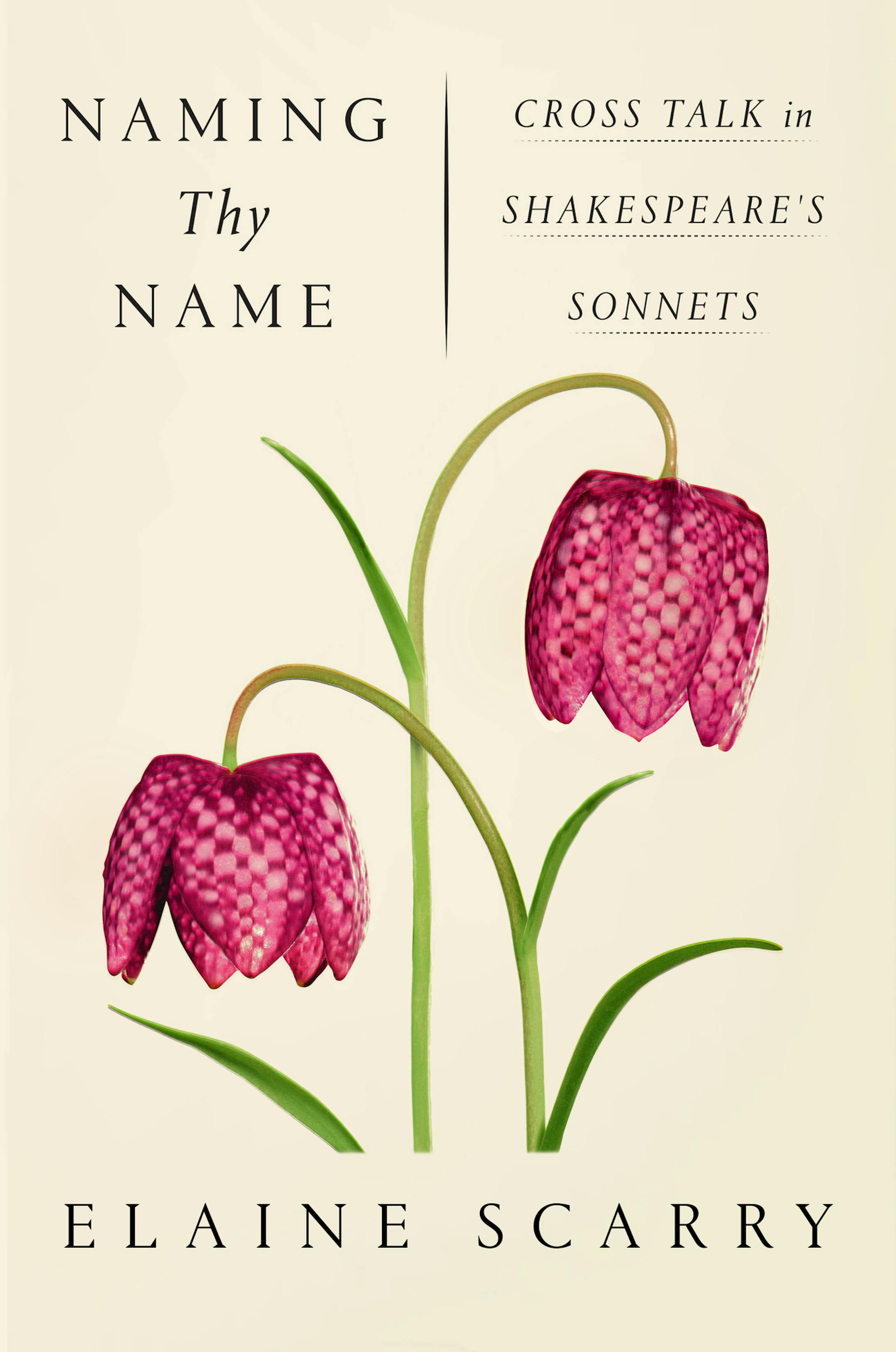 "Naming Thy Name," by Elaine Scarry
