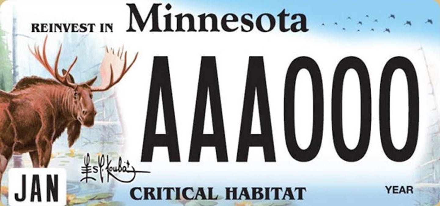 Moose plate. Please confrim with editors before use. To unite generations of wildlife lovers to the special heritage, value and iconic status of moose in Minnesota through the magnificence of Les Kouba art; continuing his devotion to conservation; his charitable legacy and our collective outdoor heritage. The Call of the Moose Minnesota campaign will become a catalyst partner, based on the lifetime achievements of Les Kouba, that creates new value, excites and delights all outdoor and nature ent