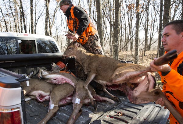Increasingly, hunters are having difficulty finding butchers to process their deer. Many meat markets are too busy with other parts of their business,