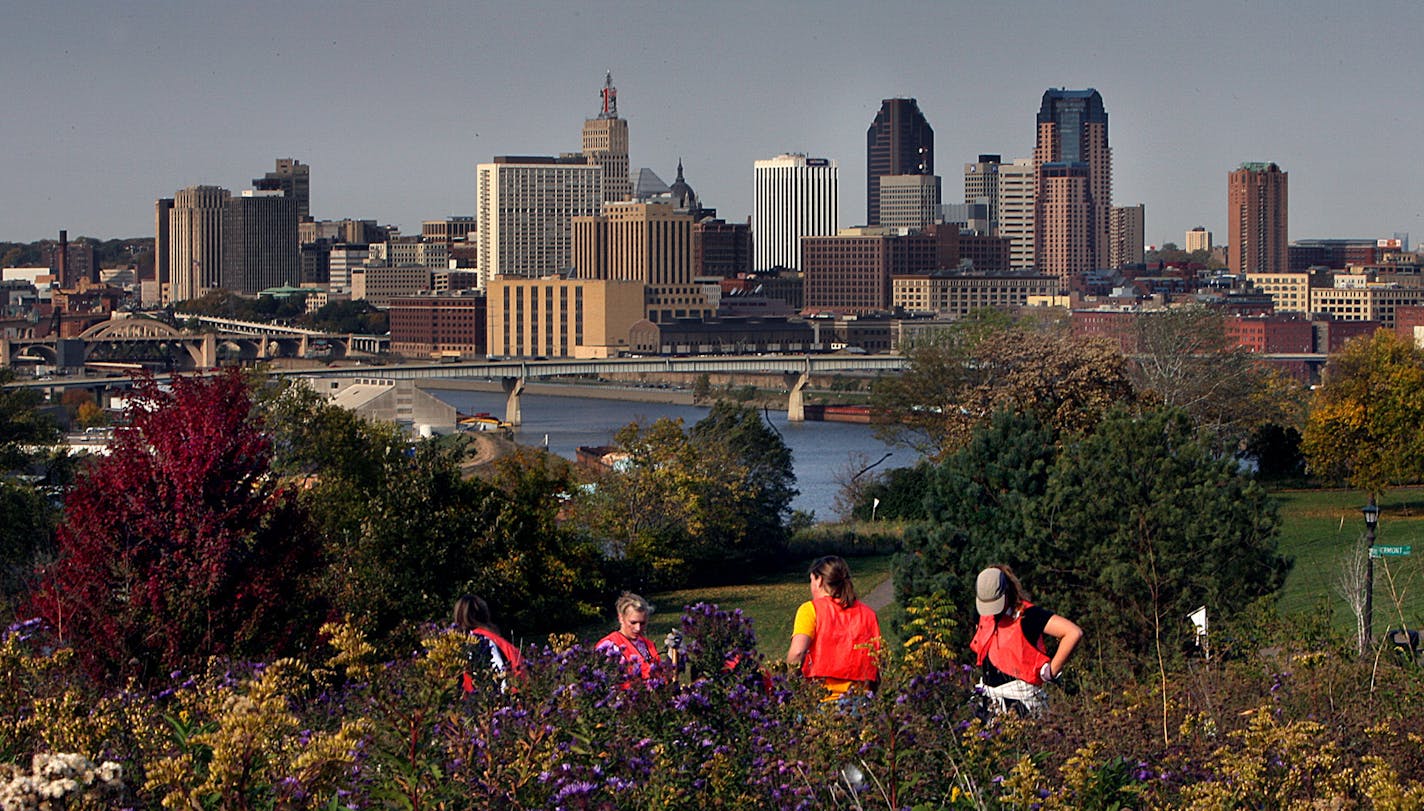 JIM GEHRZ &#xd4; jgehrz@startribune.com St. Paul/October 7, 2006/10:30AM Volunteers at Indian Mounds Park in St. Paul plant oak trees, shrubs and grasses as part of a Great River Greening project at the park. More than 250 volunteers participated in event.