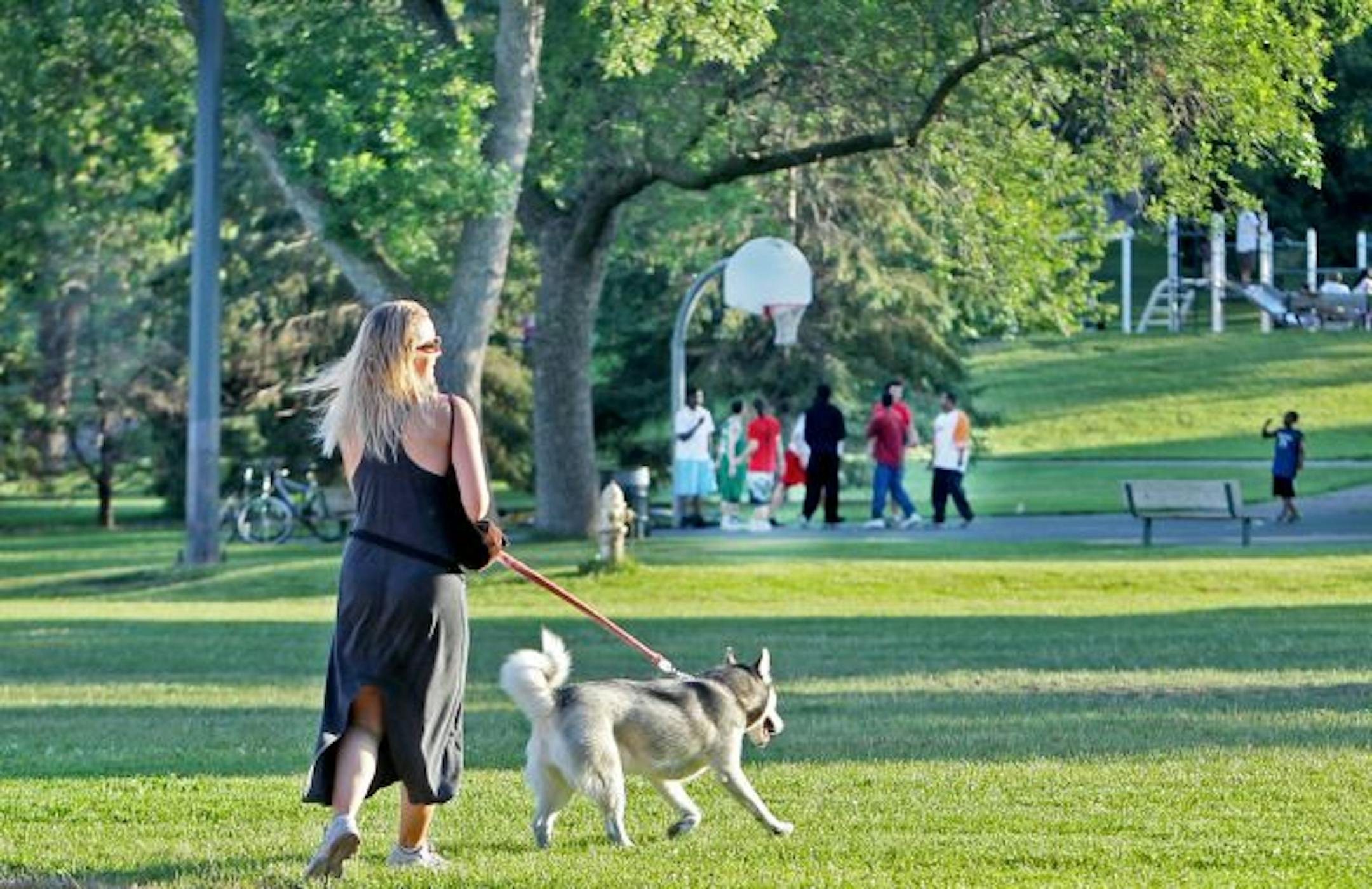 Nancy Galas walked her dog, Penelope, in the park. "I'm here all the time" with the dog, said Galas. "It brings people together," she said about dog ownership and having a park to walk them in. People on both sides of the issue are gathering support.