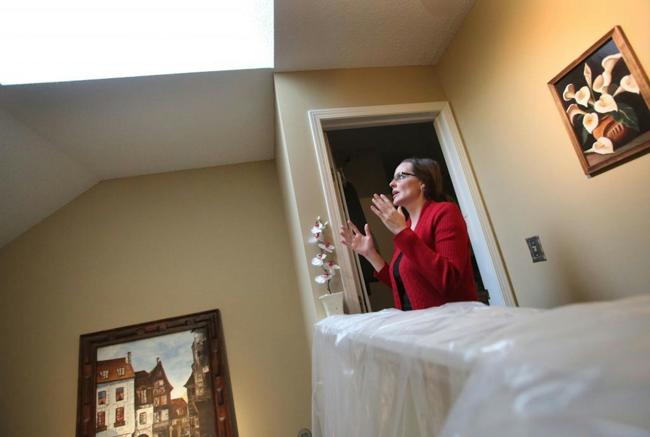 After living for two years with mold, water, indoor snow and flying squirrels, Tina Nelson doesn't know where else to turn for help with her Edina condo. Here, Nelson has much of her stairway wrapped in plastic to protect against the water that often leaks into her condo from winter ice daming on the roof and was seen Friday, Dec. 11, 2015, in Edina, MN.