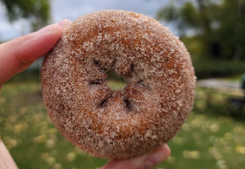 It's apple cider doughnut season at Pine Tree Apple Orchard
