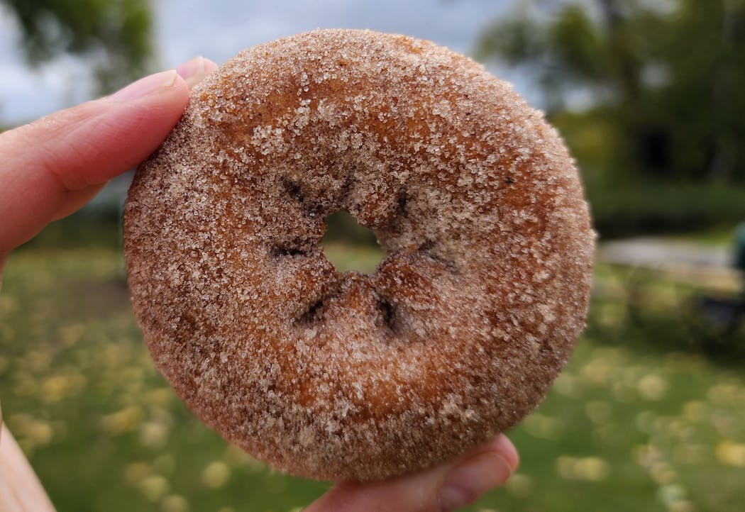 It’s apple cider doughnut season at Pine Tree Apple Orchard