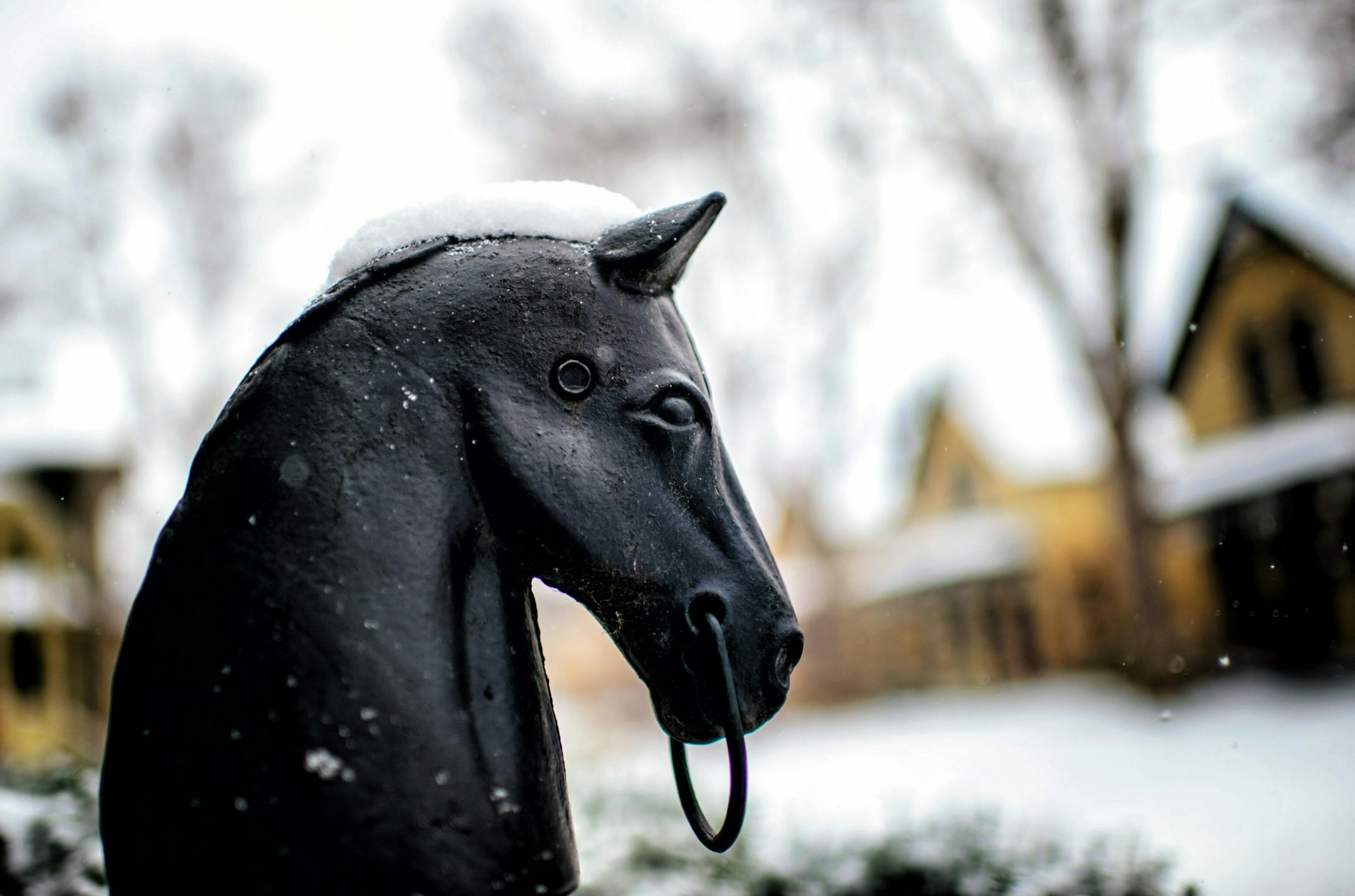 Lawn ornament on Milwaukee Avenue,