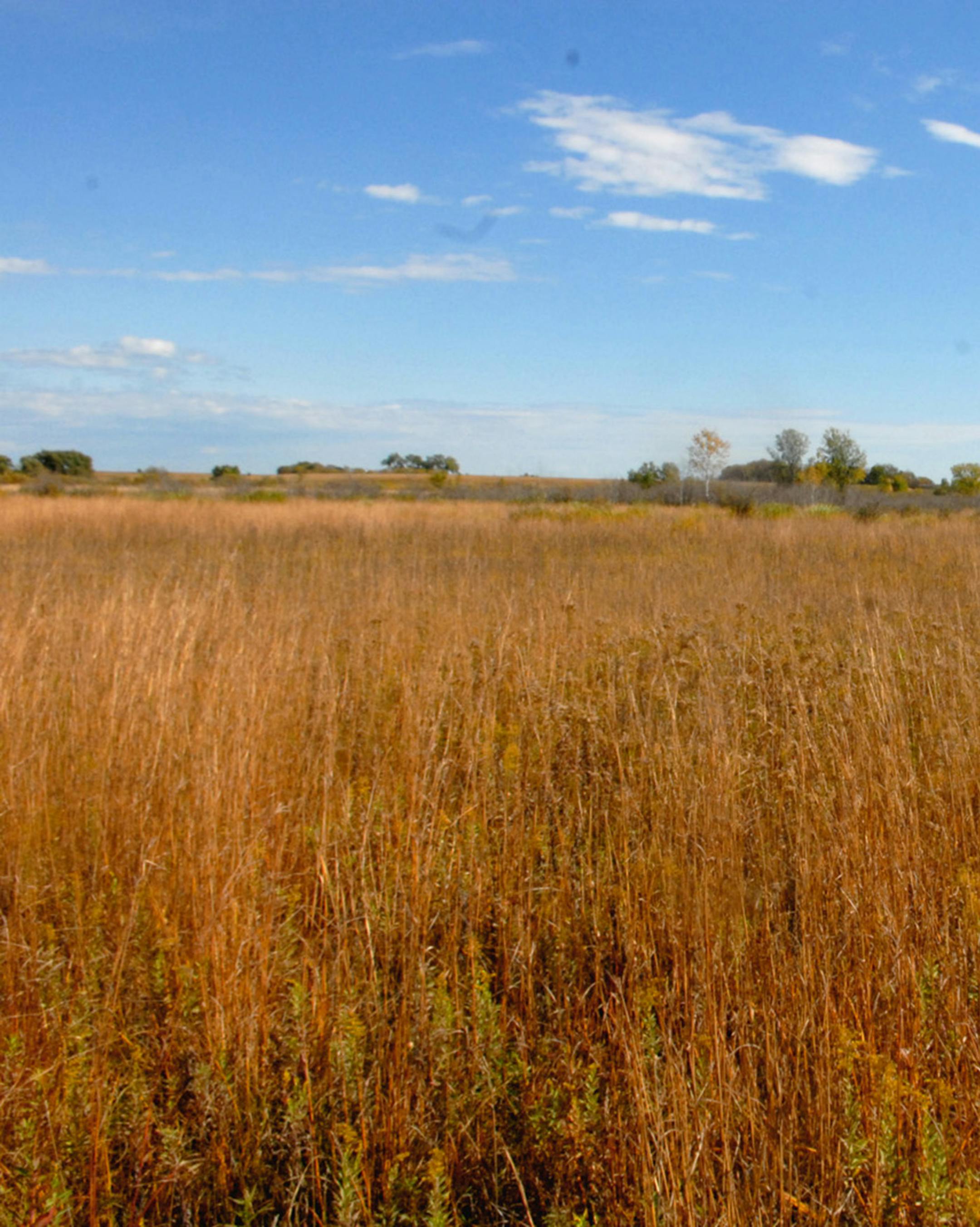 The 300 acres purchased from Bill Keller will be part of a habitat corridor that will connect with other lands that benefit soil conservation and wildlife, including this adjacent natural area owned by The Nature Conservancy. (10/2008) ORG XMIT: MIN2013102421523416