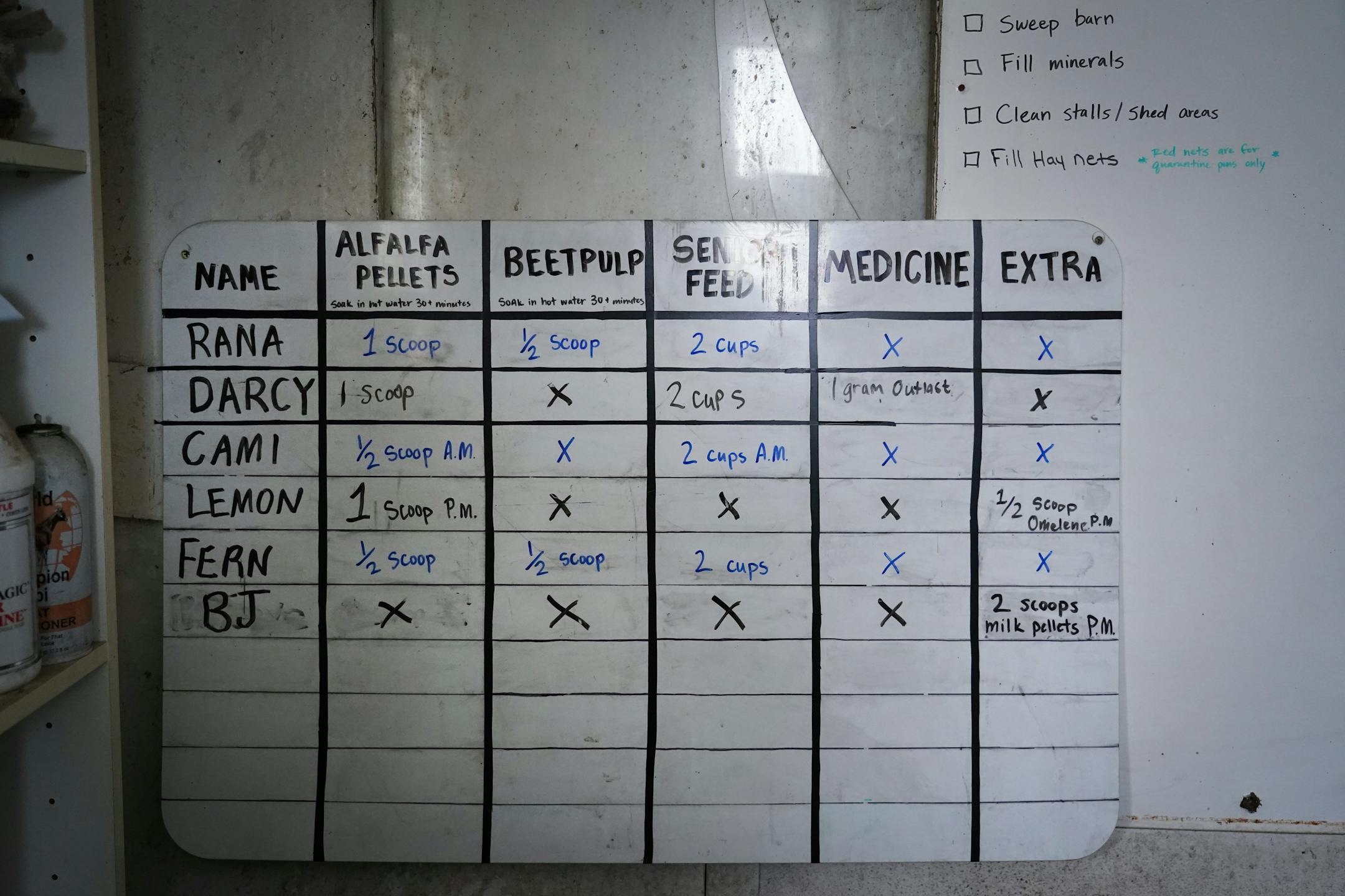 Many of the donkeys in the care of Kym Garvey at Save the Brays Donkey Rescue require special dietary needs which are tracked on a whiteboard.