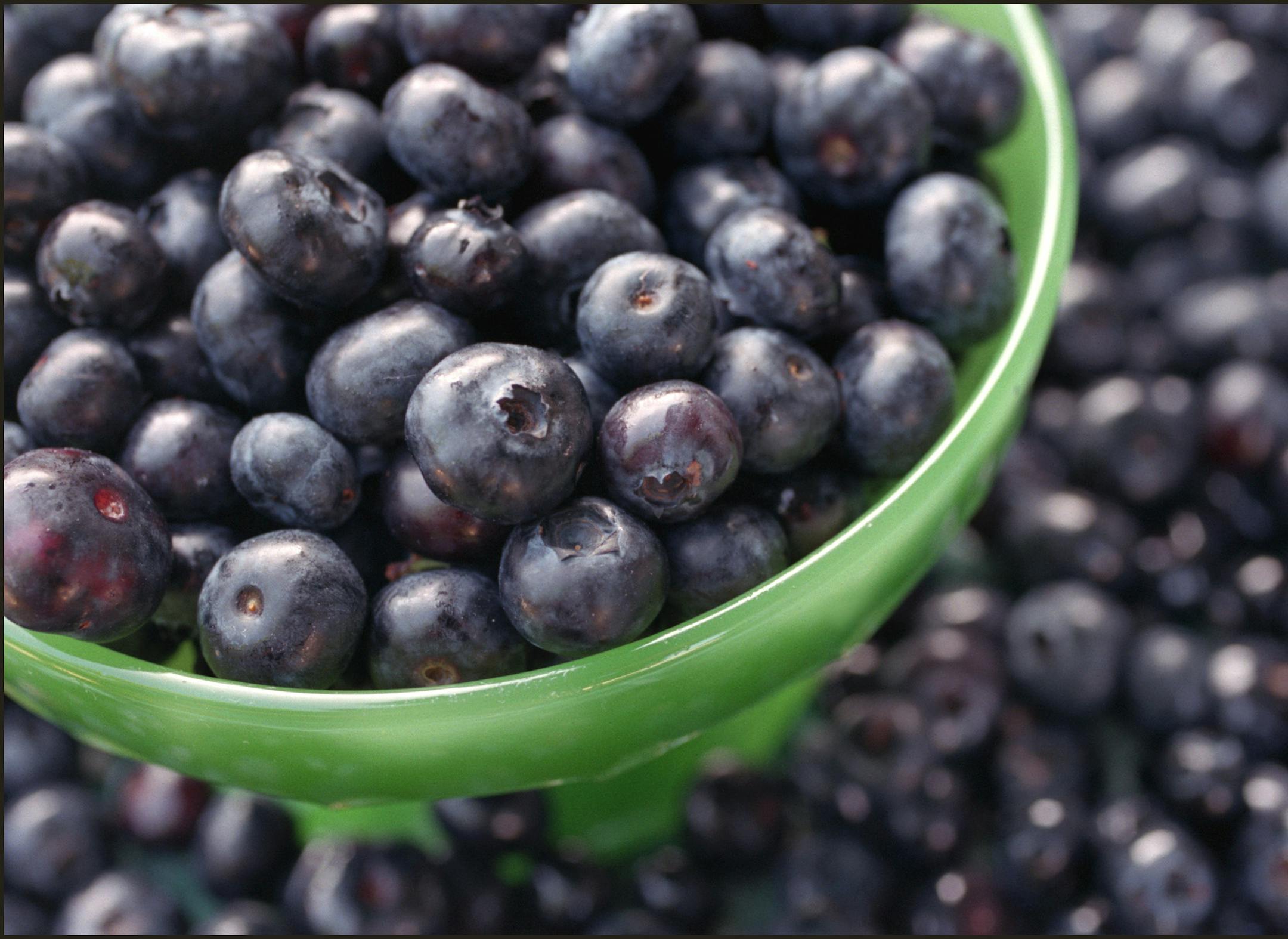 It&#x2019;s the perfect time to pick your own blueberries.