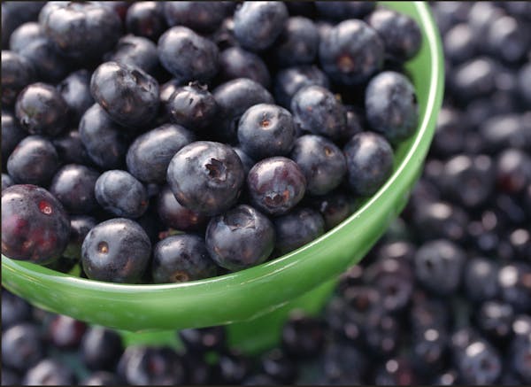 It&#x2019;s the perfect time to pick your own blueberries.