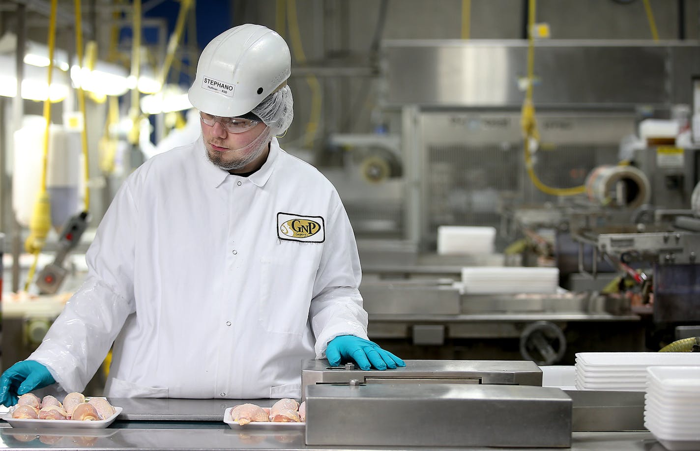 Production at the Gold'n Plump Poultry production facility, Tuesday, April 20, 2016 in Cold Spring, MN. ] (ELIZABETH FLORES/STAR TRIBUNE) ELIZABETH FLORES &#x2022; eflores@startribune.com