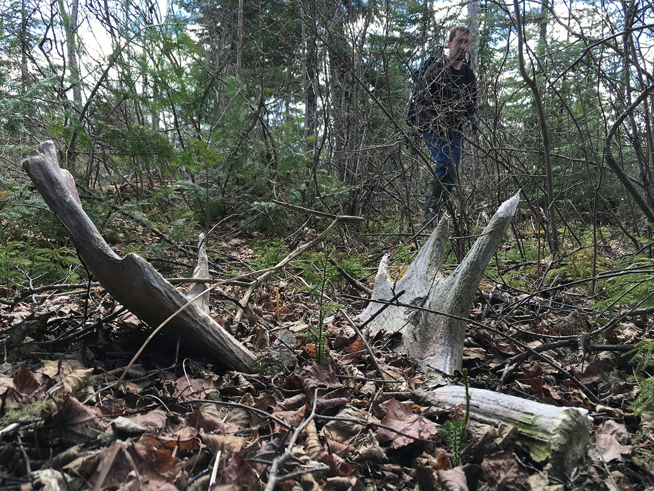 A shed find, for Outdoors Weekend.
