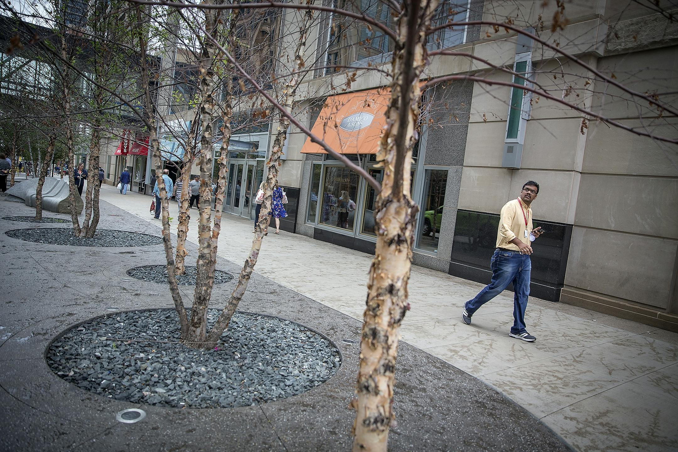 Pedestrians made their way along Nicollet Mall where the trees on the newly redesigned area are dying en masse, Wednesday, June 6, 2018 in Minneapolis, MN. The city may have to replant them because they're dying so quickly.