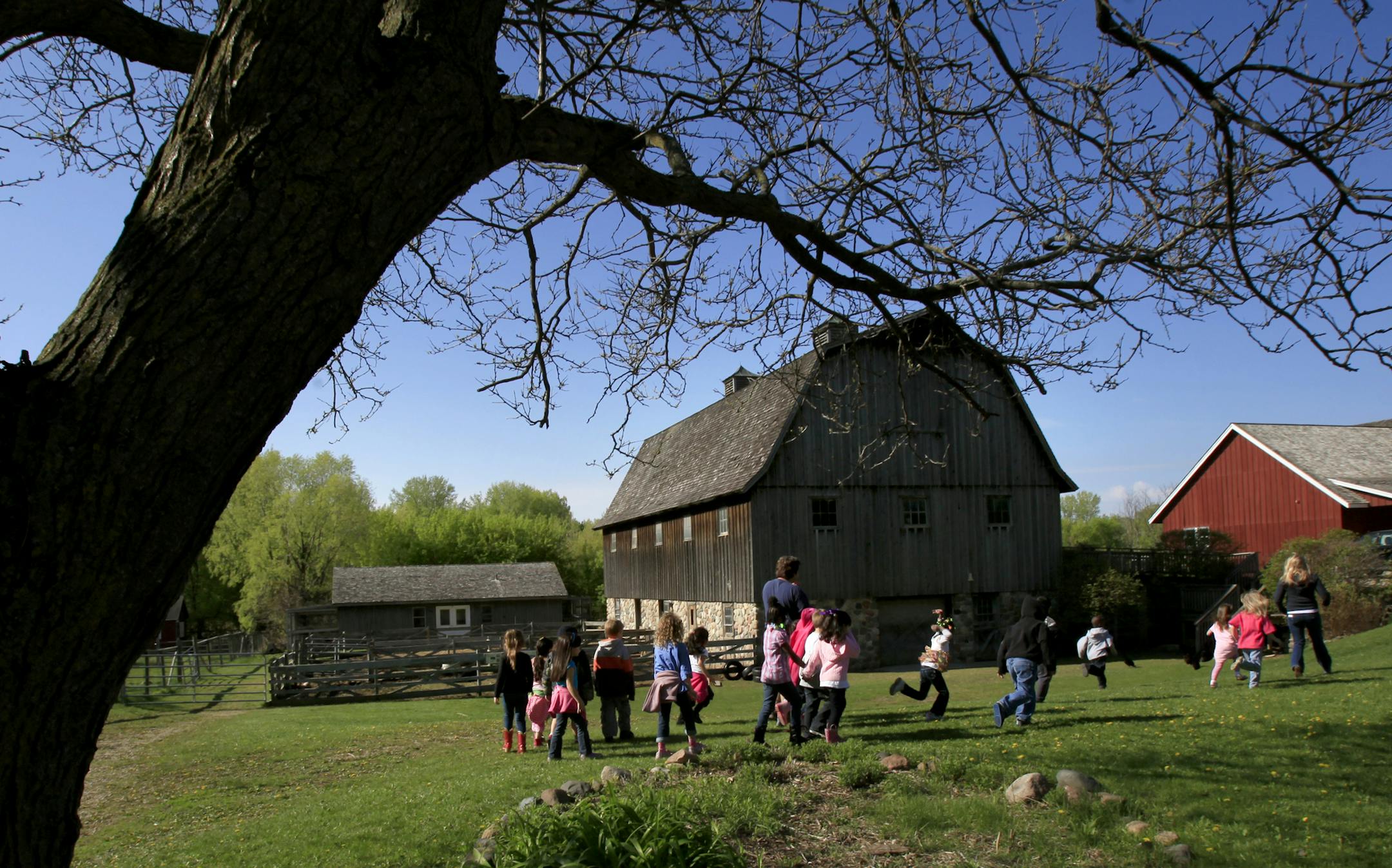 Garlough students run to the barn at the Dodge Nature Center across the street from Garlough school where teacher Pete Clearly gave his lesson on planting seeds on March 24, 2012. ] JOEL KOYAMA‚Ä¢joel.koyama@startribune.com Garlough received a designation as a Green Ribbon School this week, from the federal Education Department. The award recognizes the school's achievements in building a successful curriculum around concepts of sustainability and environmental stewardship. The