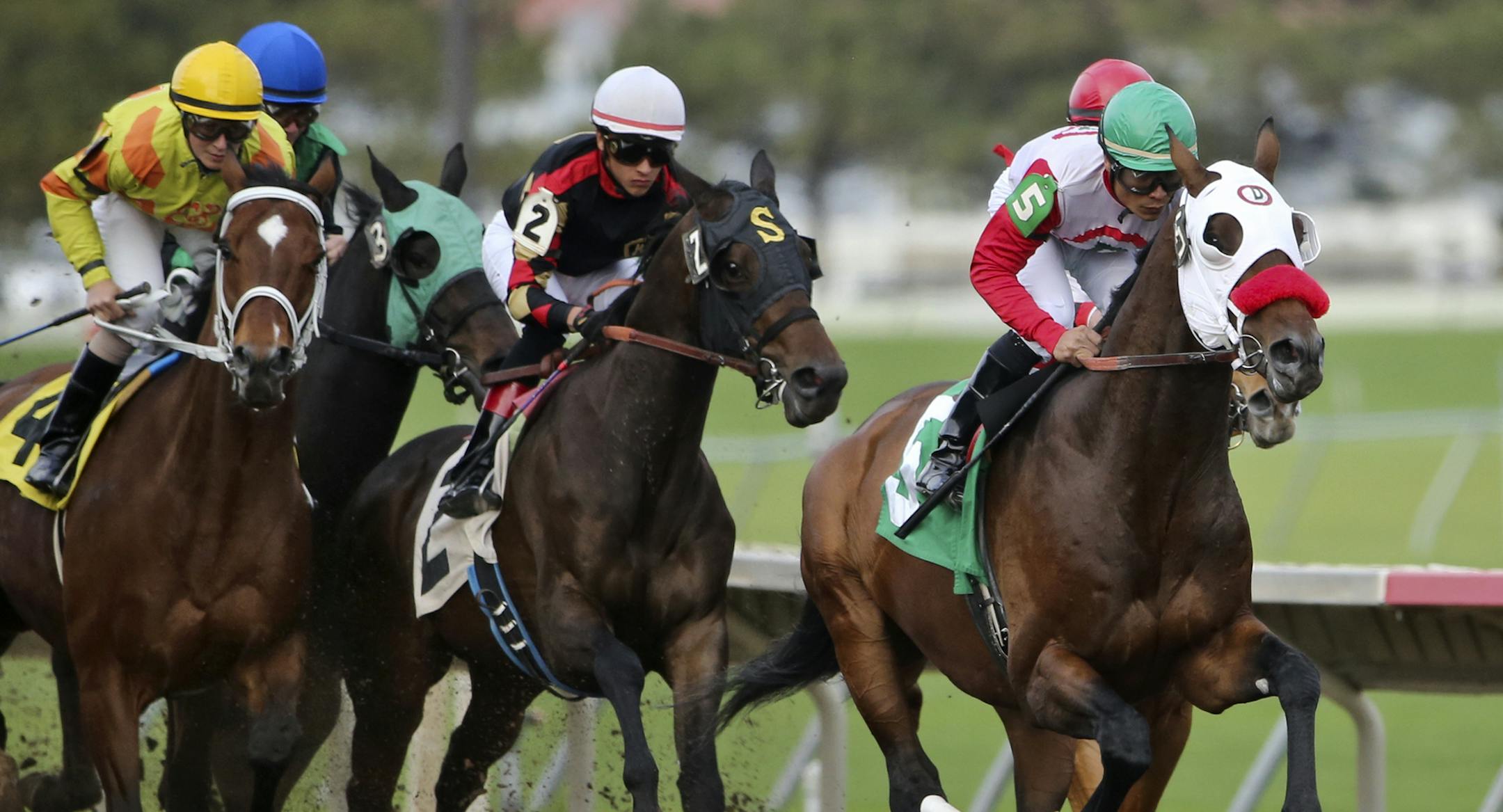 In the evening's first race jockey Jorge Carreno rode Ella's Kitten from start to finish in the lead for the win in the Canterbury Park Claiming during opening night at Canterbury Park Friday, May 16, 2014, in Shakopee, MN.](DAVIDJOLES/STARTRIBUNE) djoles@startribune Opening night at Canterbury Park Friday, May 16, 2014, in Shakopee, MN**Jorge Carreno,cq ORG XMIT: MIN1405162032090453