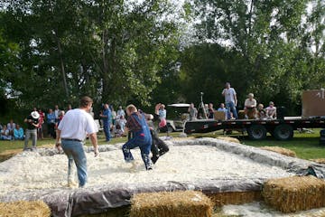 Mashed potato wrestling has been a favorite event during Barnesville’s Potato Days festival.