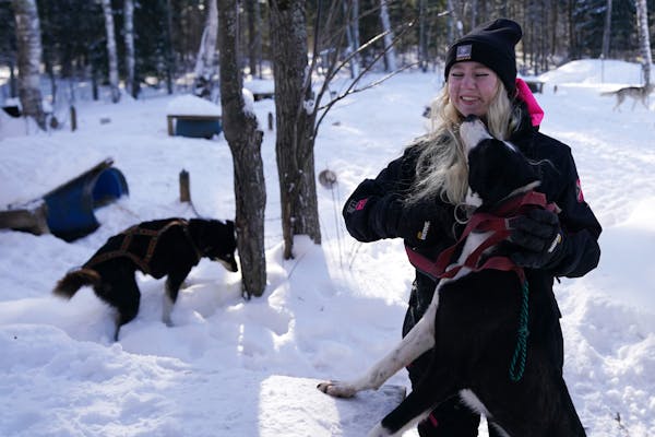 Elena Morgan unhitched her sled dogs following a training run near her home last week in Britt, Minn. The 17-year-old musher will be competing in the 