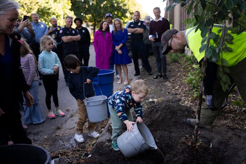 Penny's little brother Pierce Thompson, 3, waters a service berry tree that had just been planted during a tree planting ceremony on Tuesday, Oct. 10, 2023 for seven year-old Penelope "Penny" Thompson who was killed when a motorist hit her while she was riding her bicycle on September 4, 2023 in Minneapolis, Minn. The event brought together family, neighbors, friends, council member Emily Koski and several first responders including the two firefighters who responded to the scene and rode with Penny in the ambulance. The tree was planted across the street from her home.