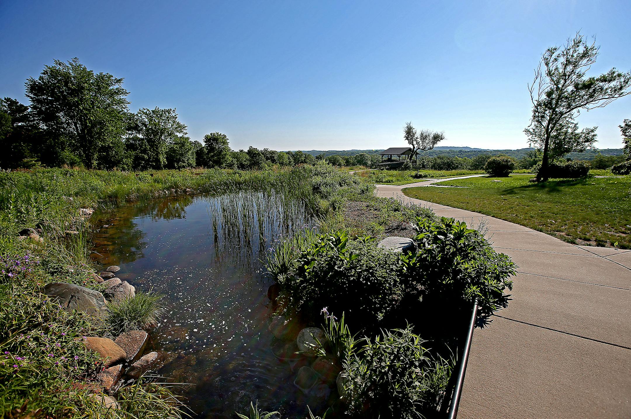 The Carpenter Nature Center contains part of Washington County's new conservation easement., Friday, June 12, 2015 in the Denmark Township, MN. ] (ELIZABETH FLORES/STAR TRIBUNE) ELIZABETH FLORES • eflores@startribune.com