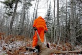 Some experts say whitetail hunters increase their chances of bagging a deer, particularly a trophy buck, by being in the woods at midday. "Hunt all day and you'll be surprised how many more deer you will see," said James Kroll, Wisconsin Deer Czar.