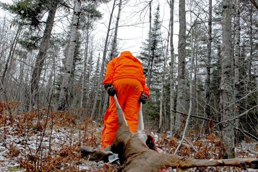 Some experts say whitetail hunters increase their chances of bagging a deer, particularly a trophy buck, by being in the woods at midday. "Hunt all day and you'll be surprised how many more deer you will see," said James Kroll, Wisconsin Deer Czar.