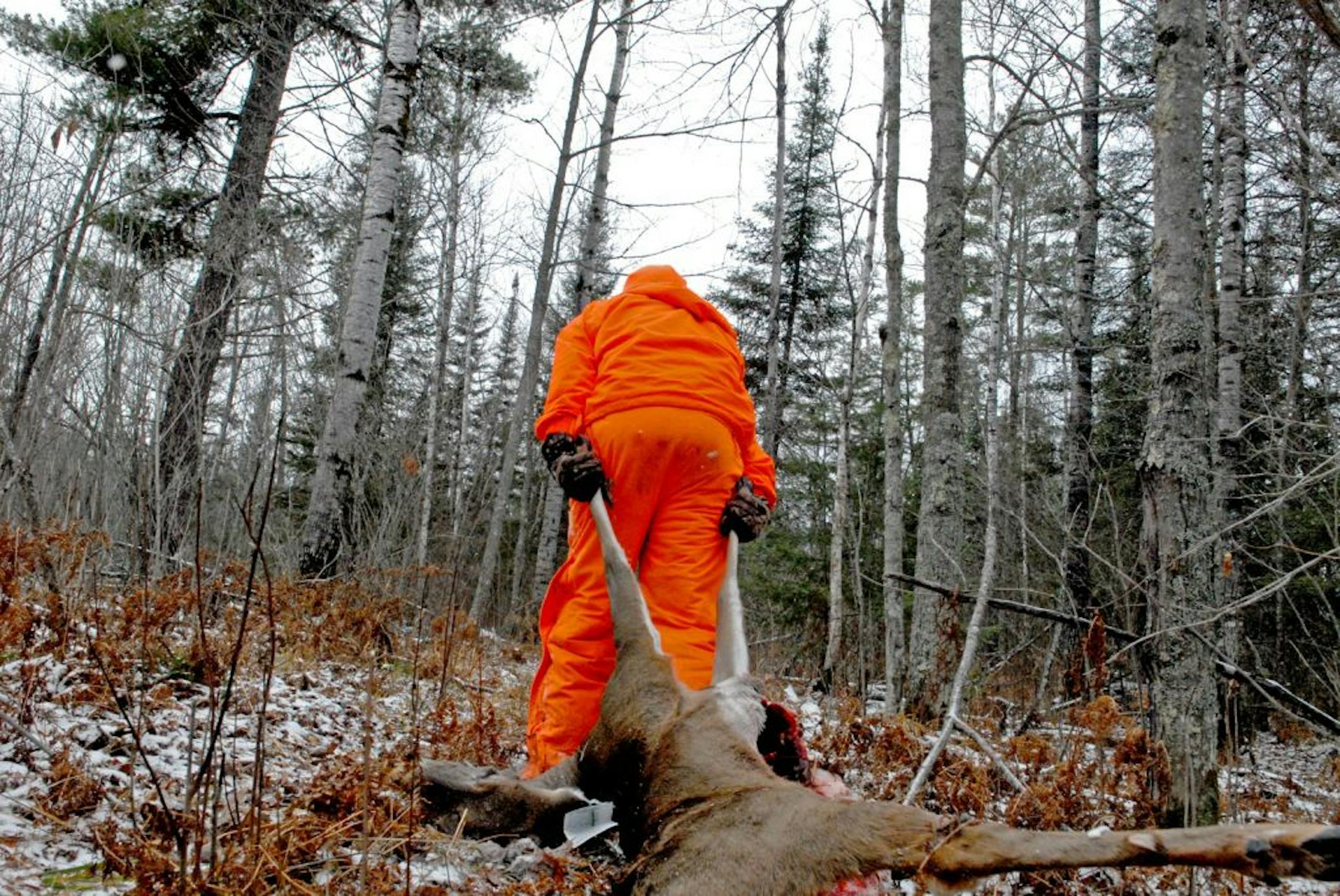 Some experts say whitetail hunters increase their chances of bagging a deer, particularly a trophy buck, by being in the woods at midday. "Hunt all day and you'll be surprised how many more deer you will see," said James Kroll, Wisconsin Deer Czar.