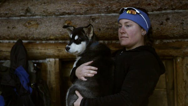 Ashley Selden, formerly of Lake Crystal, cradled one of her sled dogs, Gwen. She and her husband, Tyler, use a dog team in the Arctic National Wildlif