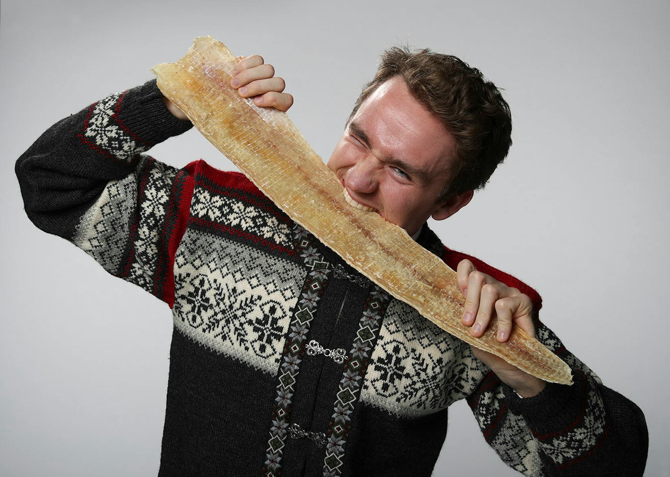 Nels Thompson with a dried cod, the basis of many a Scandinavian holiday meal. ] JEFF WHEELER ï jeff.wheeler@startribune.com Nels Thompson took over planning the traditional Scandinavian holiday meal at his church with the intent of making it appeal to twentysomethings like himself. He was photographed with dried cod in the StarTribune studio on Thursday afternoon, November 3, 2016.