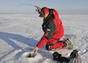 Isle, Minn., guide Tony Roach has depended on winter angling on Mille Lacs for much of his annual business. He'll speak at the DNR roundtable on Frida
