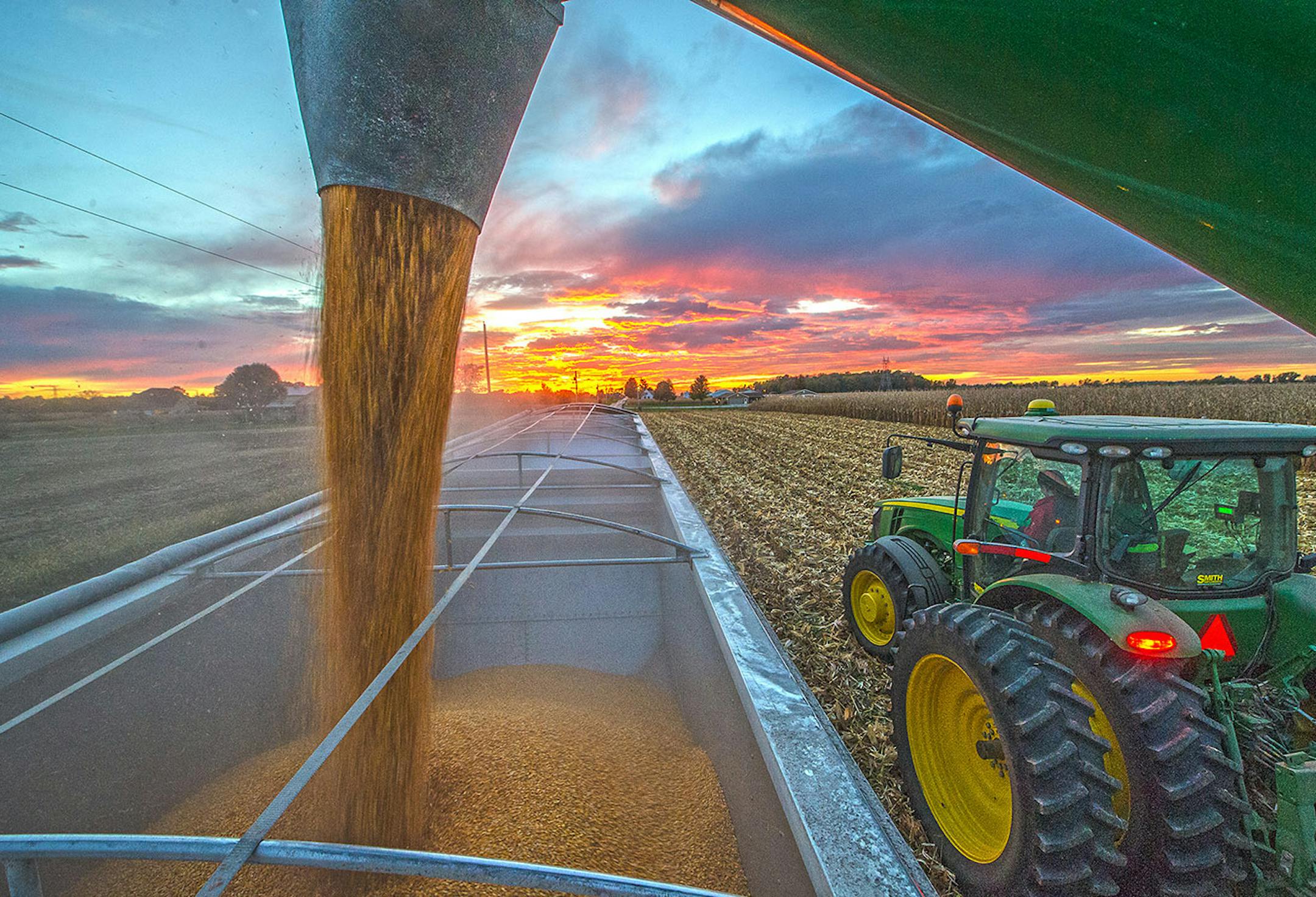 A tractor dispenses grain while harvesting corn Tuesday evening, Oct. 13, 2015, in the 2100 block of West County Road 200N at For-Lou Farms near Greenfield, Ind. A stretch of dry fall weather one farm economist calls "remarkable" is helping Indiana farmers harvest their crops early following heavy summer rains that cut crop yields across much of the state. (Tom Russo/Daily Reporter via AP)