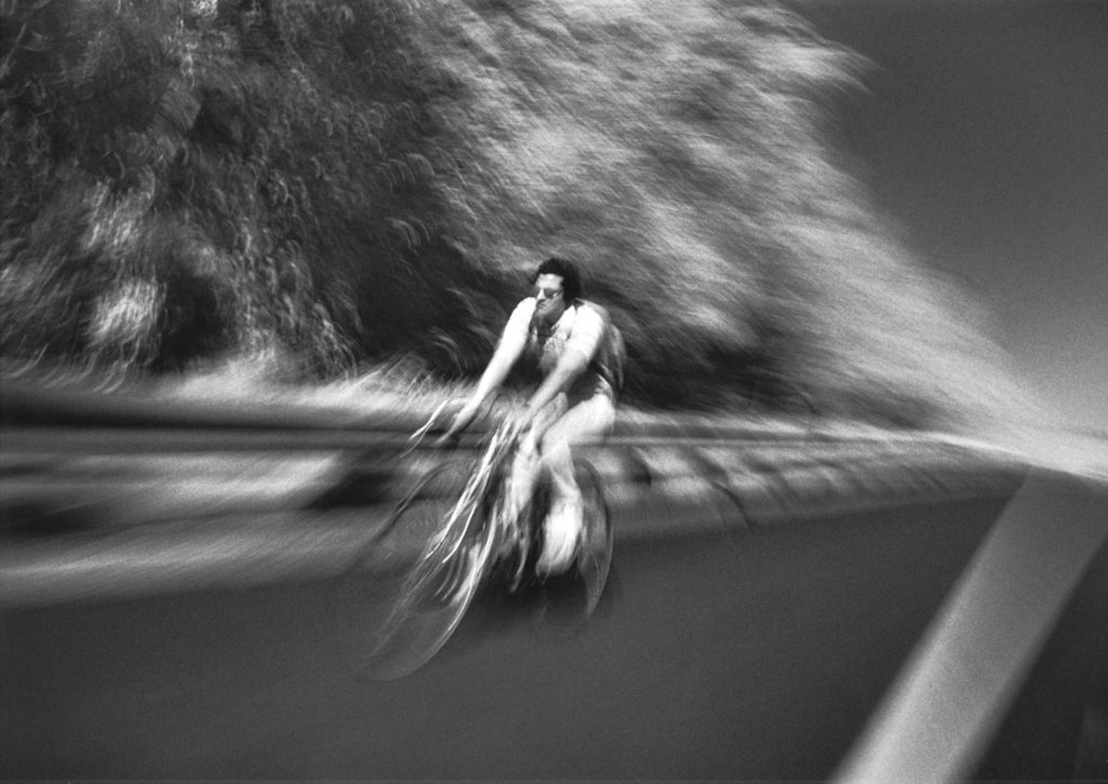 From "Drive-by Shooting" by Sid Kaplan.