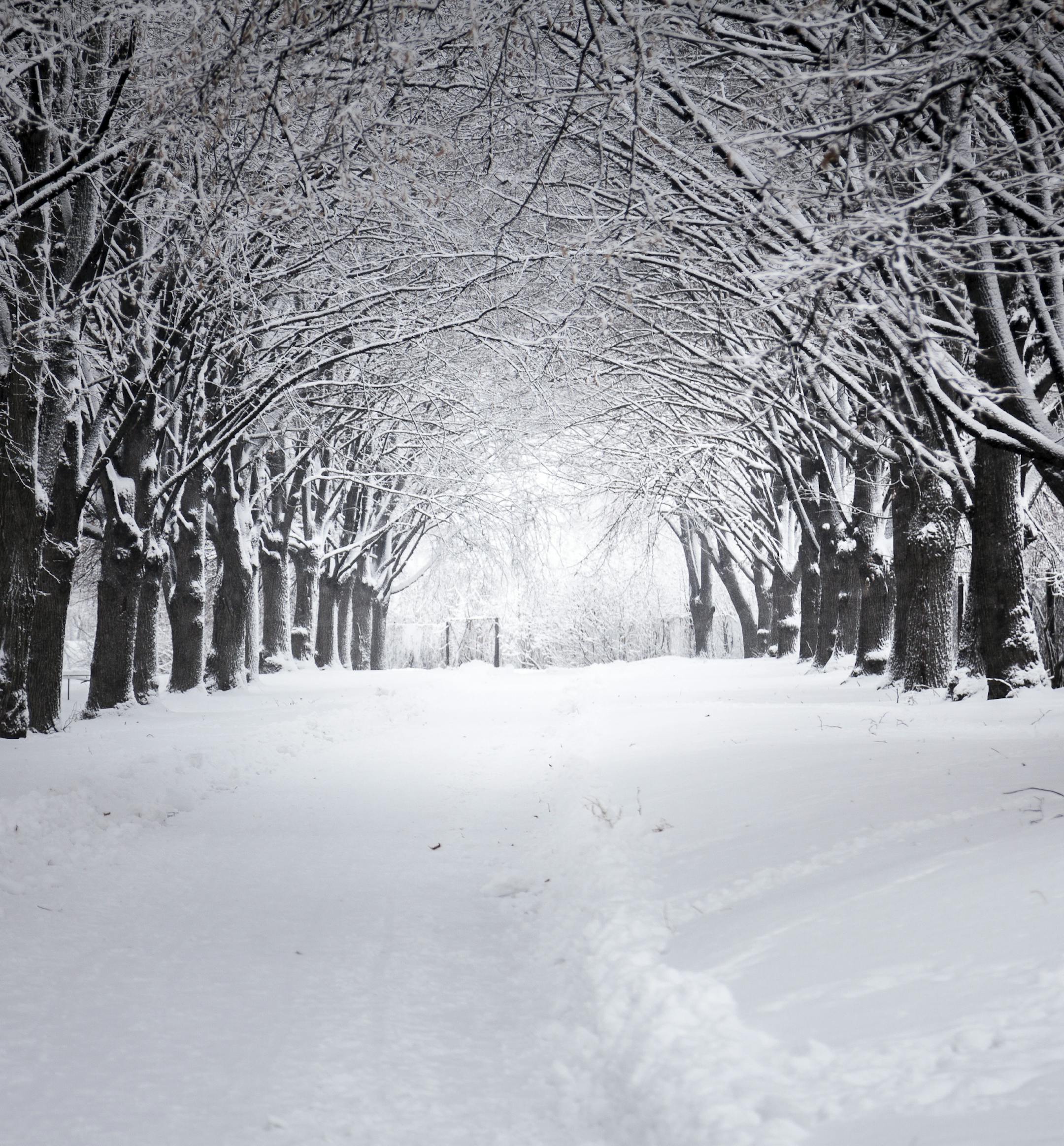 Outdoor photo of beautiful road at winter park