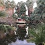 The 9,000-year-old Oasis of Mara and its palm-lined pond — complete with moored houseboat — is the heart of the 29 Palms Inn, which has a restaura