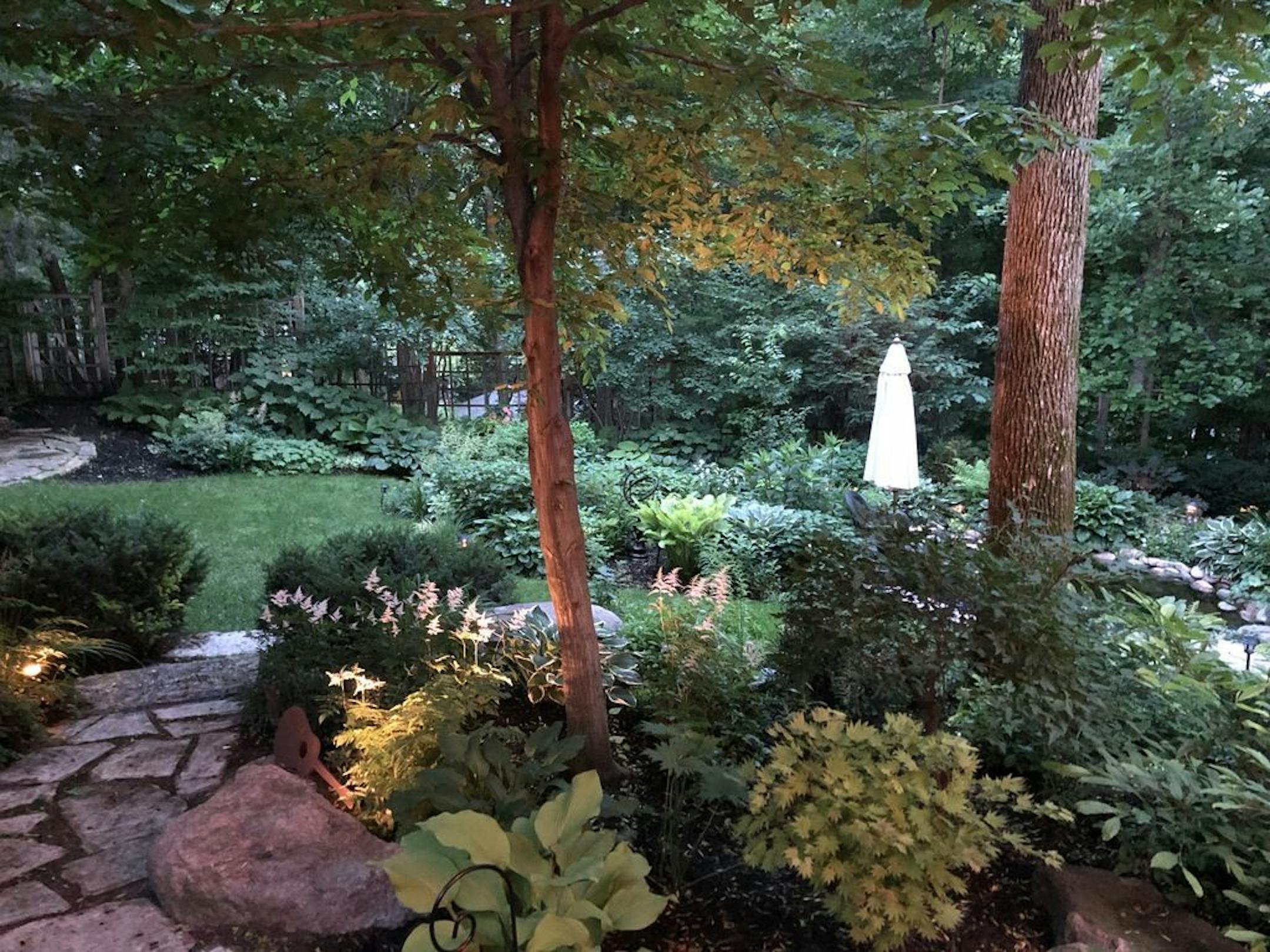 The garden is mostly shaded.