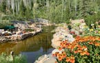 Strawberry Park Hot Springs draw visitors year-round to Steamboat Springs, a mountain town in Colorado's Rocky Mountains.