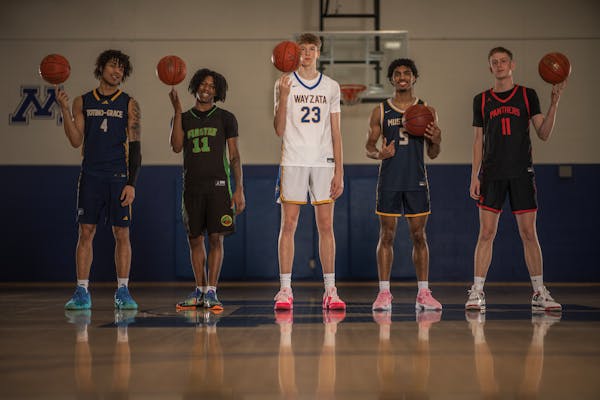 25 players everybody wants. That's the All-Metro boys basketball team.