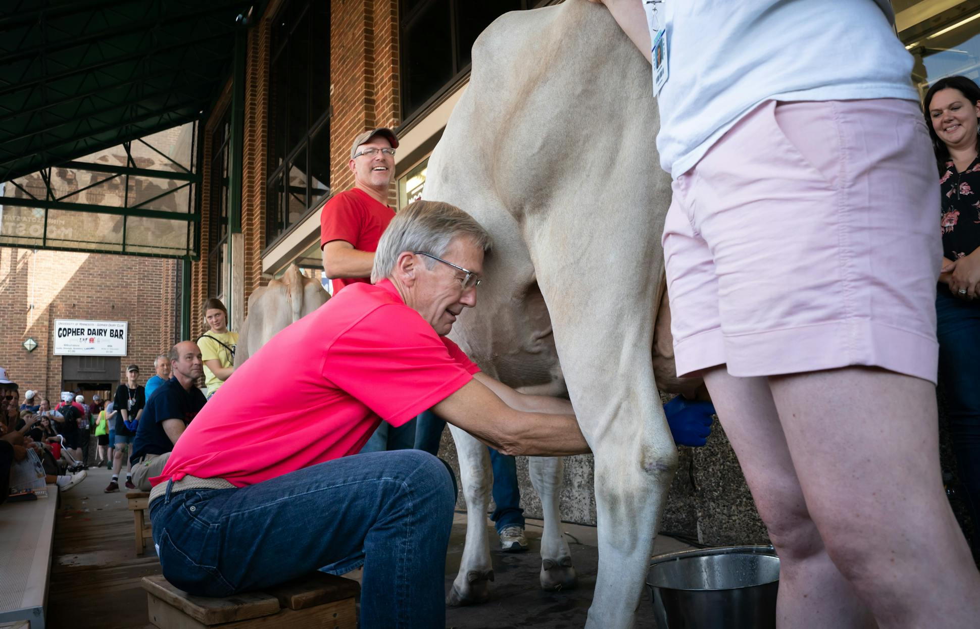 Republican candidate for governor Scott Jensen milked a dairy cow by hand outside the Moo Booth of the Cattle Barn during a State Fair contest on Aug. 26.